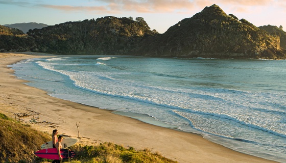 Great Barrier Island is a simpler world