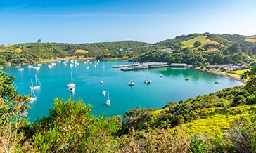 Move to Auckland. New Zealand and day trips to Waiheke could be your new norm