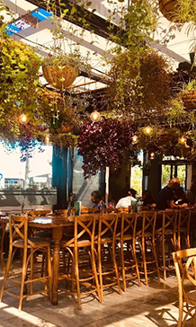 Spring in Auckland is a great time for dining ourdoors