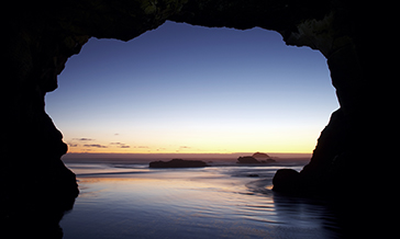 hiking around Muriwai is one of the amazing things you can do in Auckland