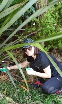 preservation and the natural surrounds of Tāmaki Makaurau on Waiheke Island