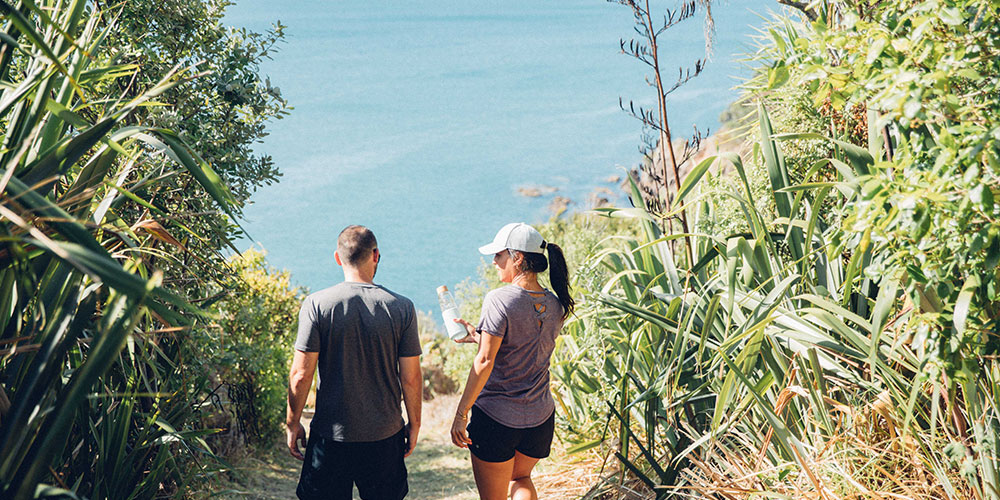 Two people walking along a scenic bush track down towards a beach in Auckland