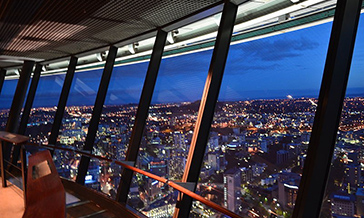 Auckland's sky Tower provides 360 views over Auckland city