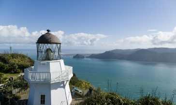 Woman looking out from Awhitu Peninsula Lighthouse