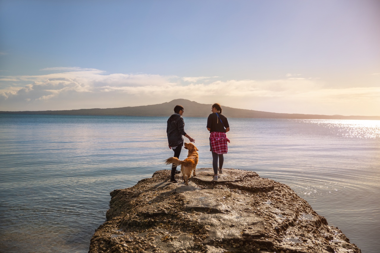 Two women and a dog standing on a rock at Kohimaramara beach Auckland looking at Rangitoto Island