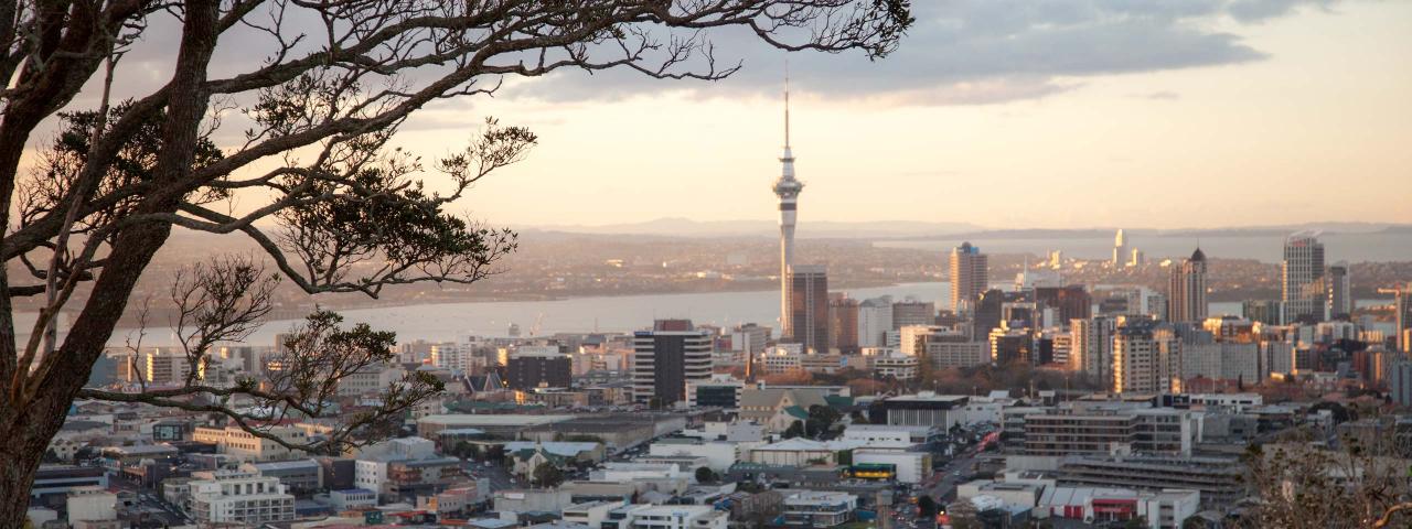 Auckland cityscape at dusk with tree in foreground (credit: Education New Zealand)